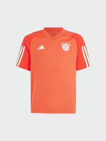 Футболки и поло Adidas модель IQ0613 Фото