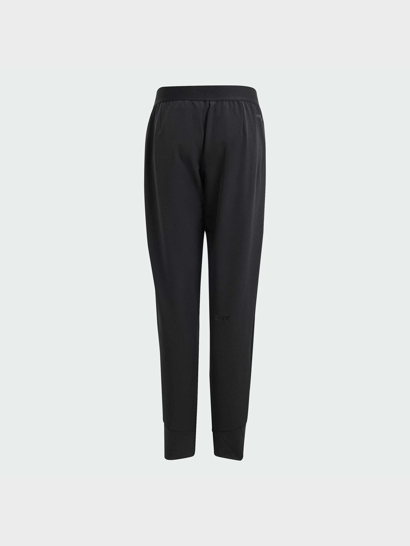 Брюки Adidas ZNE модель IN6962 Брюки Adidas ZNE модель IN6962 Фото