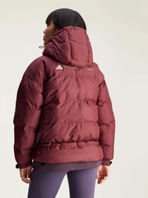 Куртки и дубленки Adidas модель IW9843 Фото