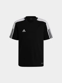 Футболки и поло Adidas Tiro модель HE7176 Фото