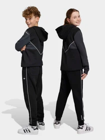Брюки Adidas Adicolor модель IC6234 Фото