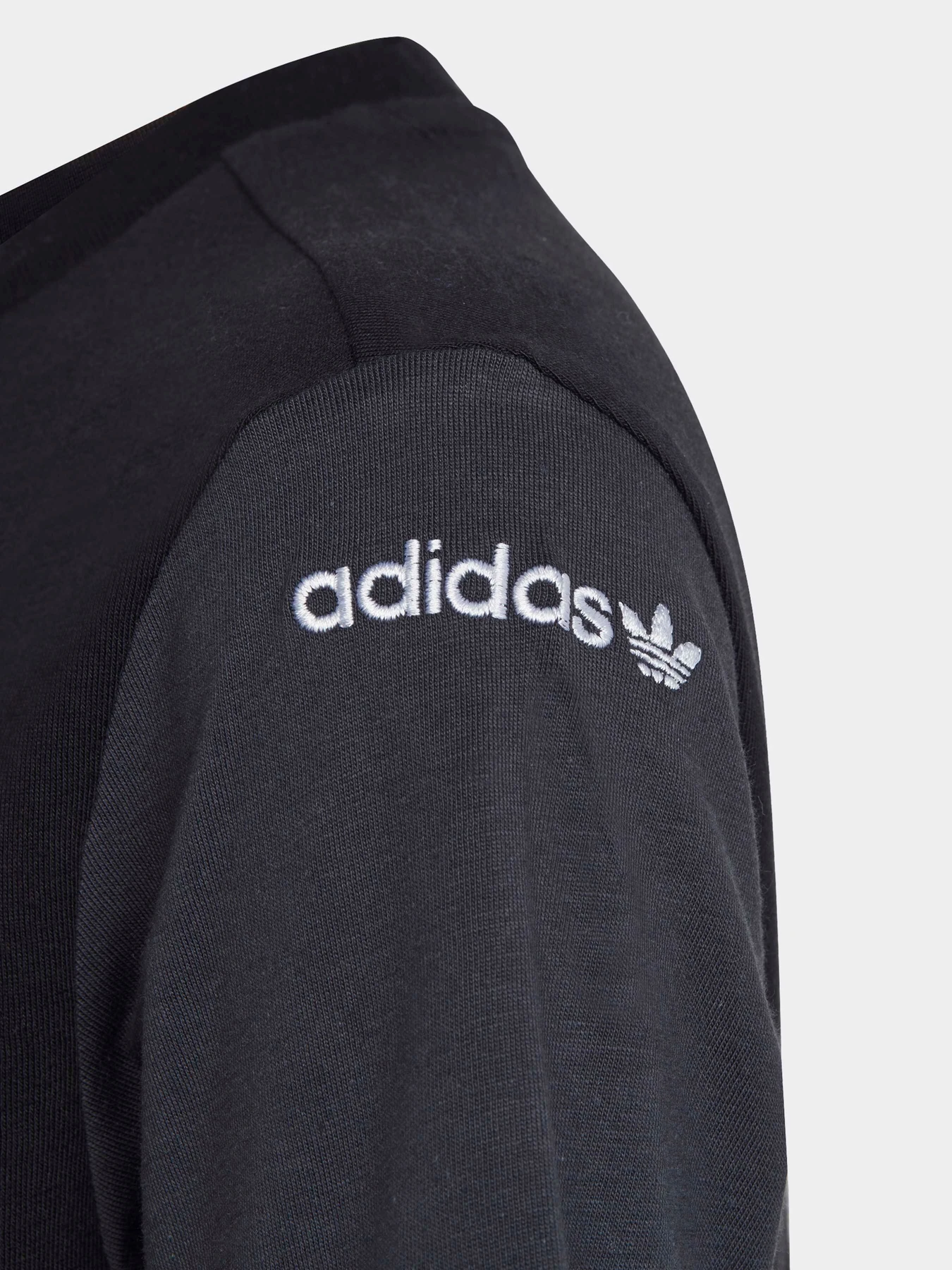 Футболки и поло Adidas Adicolor модель IC6243 Футболки и поло Adidas Adicolor модель IC6243 Фото