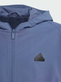 Худи и свитшоты Adidas ZNE модель IV9177 Фото