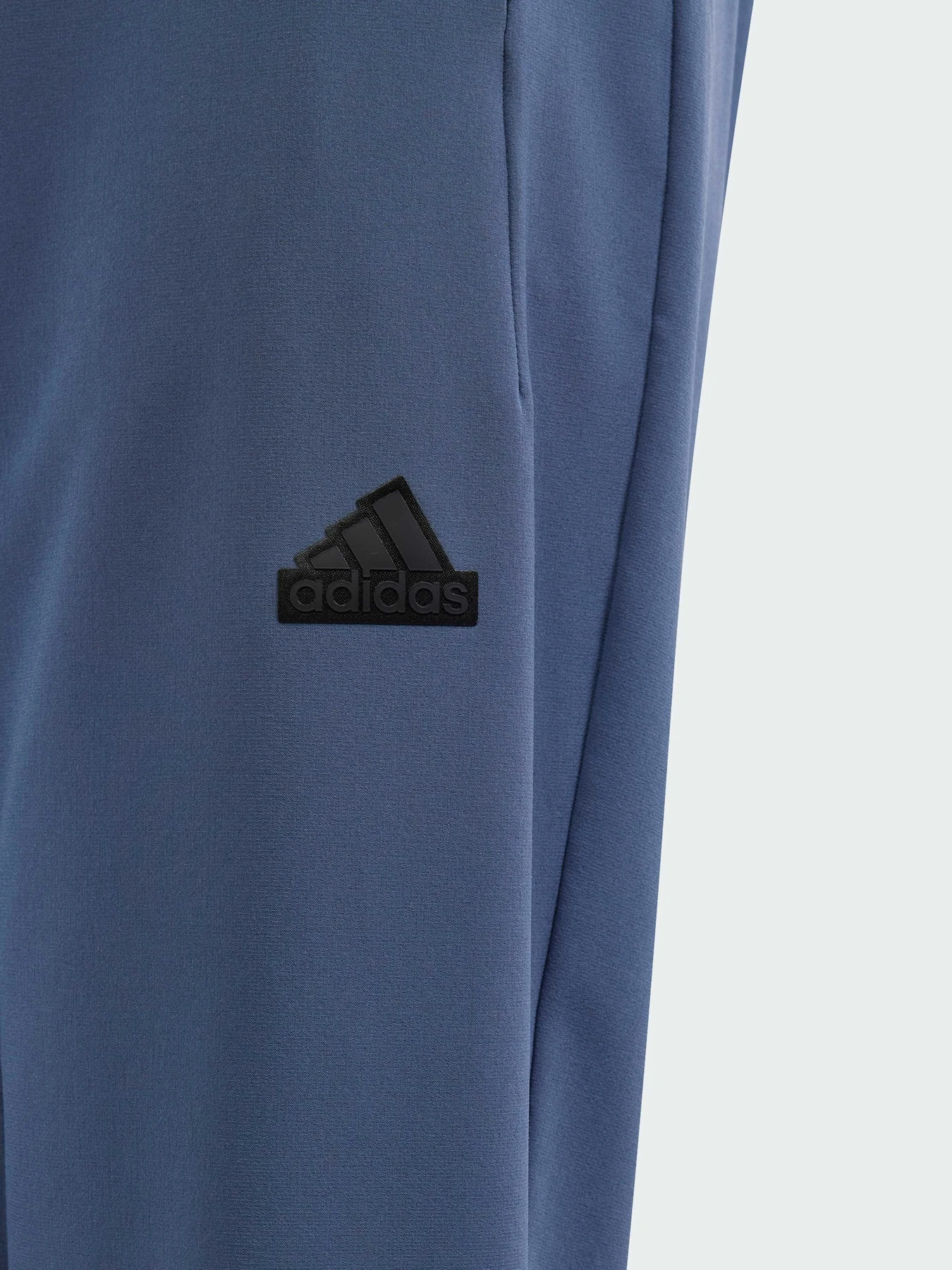 Брюки Adidas ZNE модель IS3401 Фото
