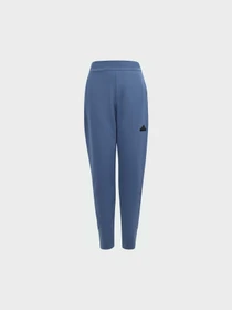 Брюки Adidas ZNE модель IS3401 Фото