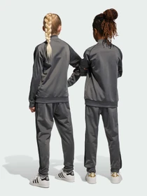 Брюки Adidas модель IJ9712 Фото