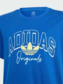 Футболки і поло Adidas Graphics модель IK5441 Фото