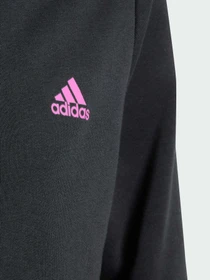 Худи и свитшоты Adidas модель IJ6229 Фото