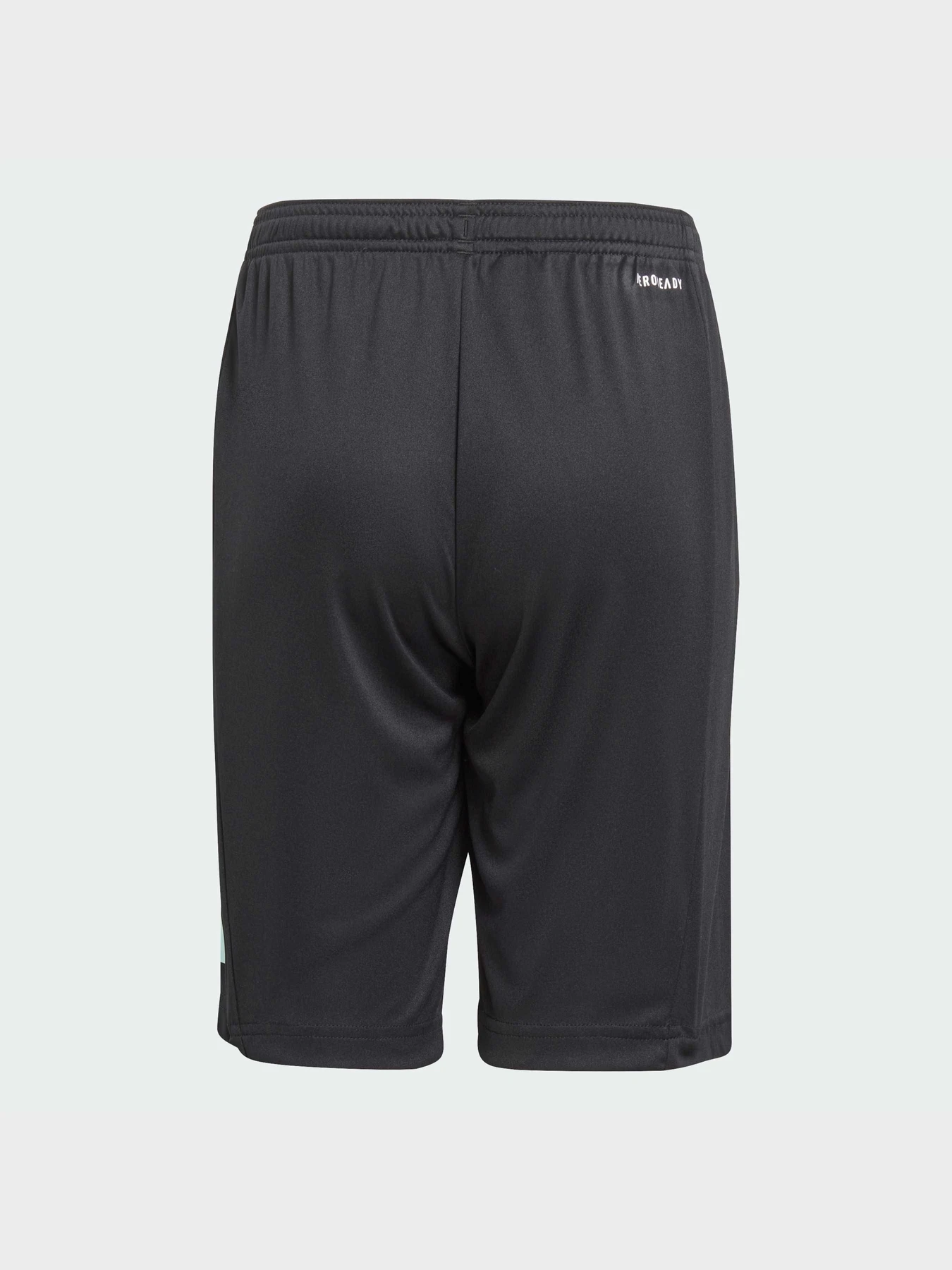 Шорты Adidas модель IJ9564 Фото