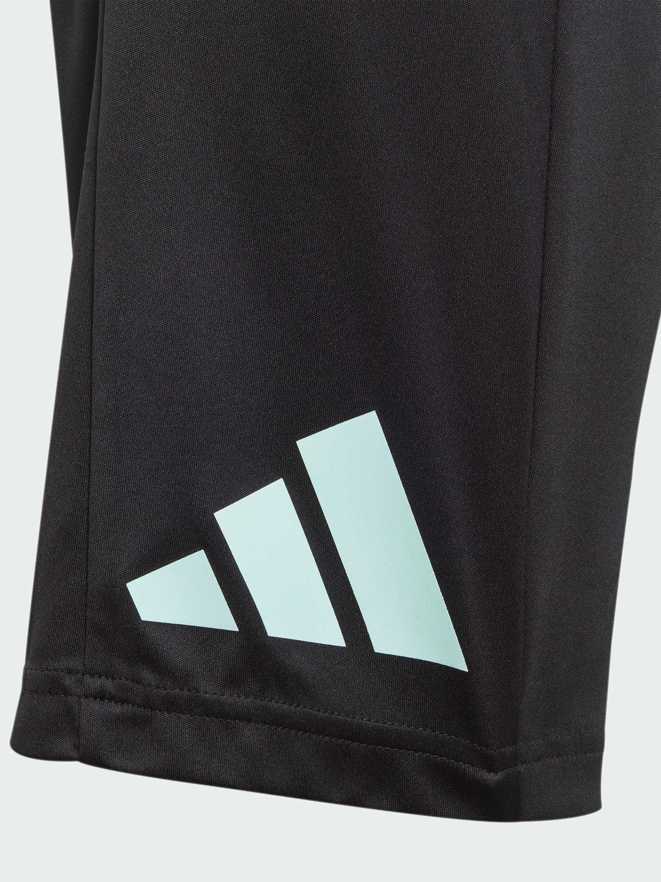 Шорты Adidas модель IJ9564 Фото