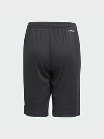 Шорты Adidas модель IJ9564 Фото