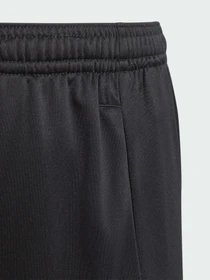 Шорты Adidas модель IJ9564 Фото