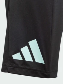 Шорты Adidas модель IJ9564 Фото
