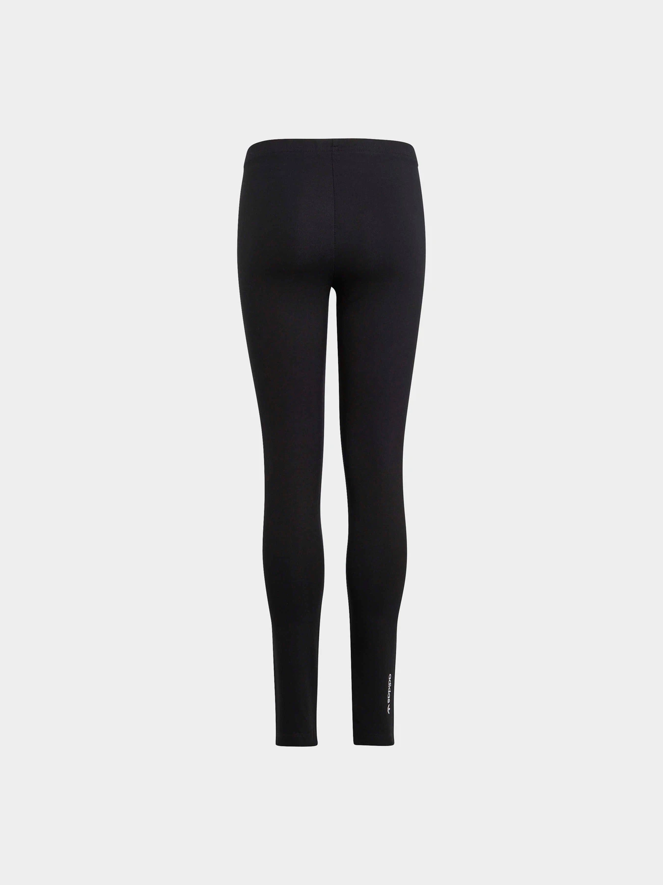 Брюки Adidas Adicolor модель IC6250 Брюки Adidas Adicolor модель IC6250 Фото