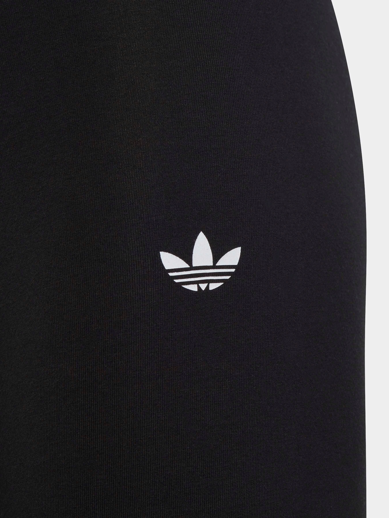 Брюки Adidas Adicolor модель IC6250 Брюки Adidas Adicolor модель IC6250 Фото