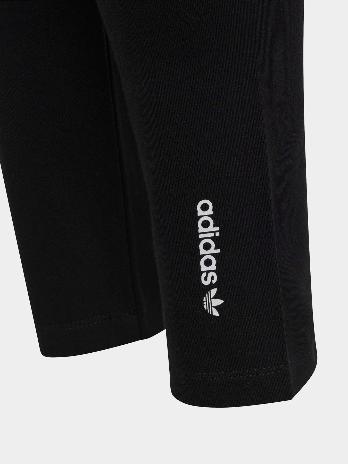 Брюки Adidas Adicolor модель IC6250 Брюки Adidas Adicolor модель IC6250 Фото