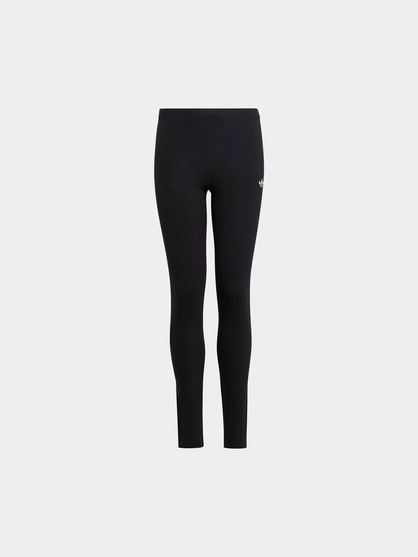 Брюки Adidas Adicolor модель IC6250 Брюки Adidas Adicolor модель IC6250 Фото