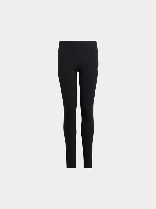 Брюки Adidas Adicolor модель IC6250 Фото