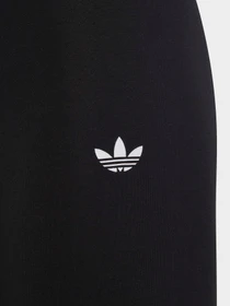 Брюки Adidas Adicolor модель IC6250 Фото