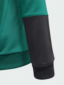 Худі та світшоти Adidas Tiro модель IQ1520 Фото