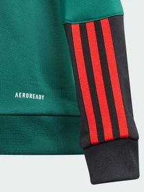 Худі та світшоти Adidas Tiro модель IQ1520 Фото