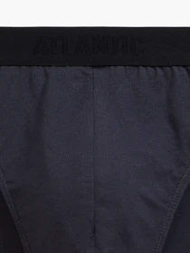 Нижнее белье Atlantic модель 3MP-175 Фото