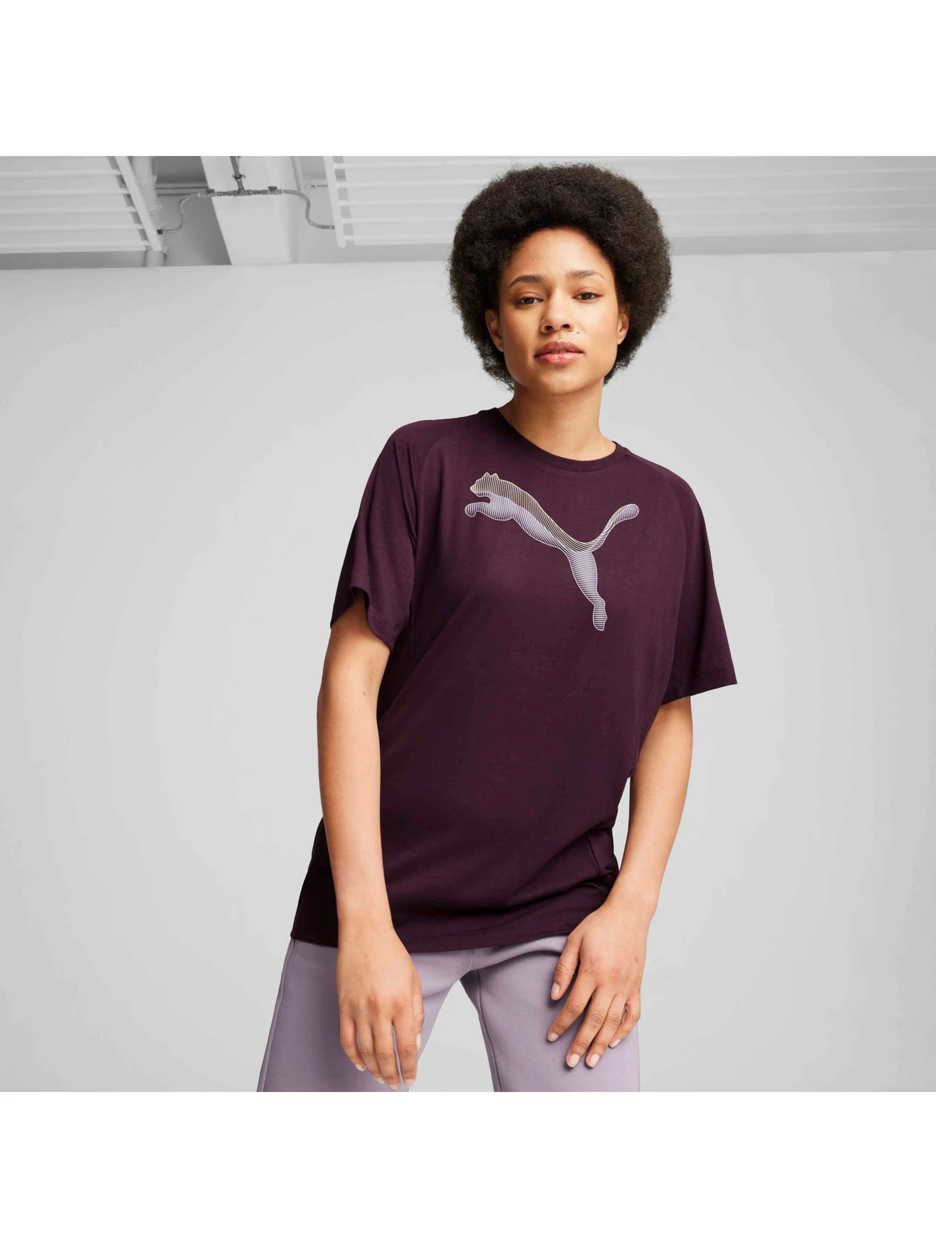 Футболки и поло PUMA Evostripe Tee модель 681668 Фото