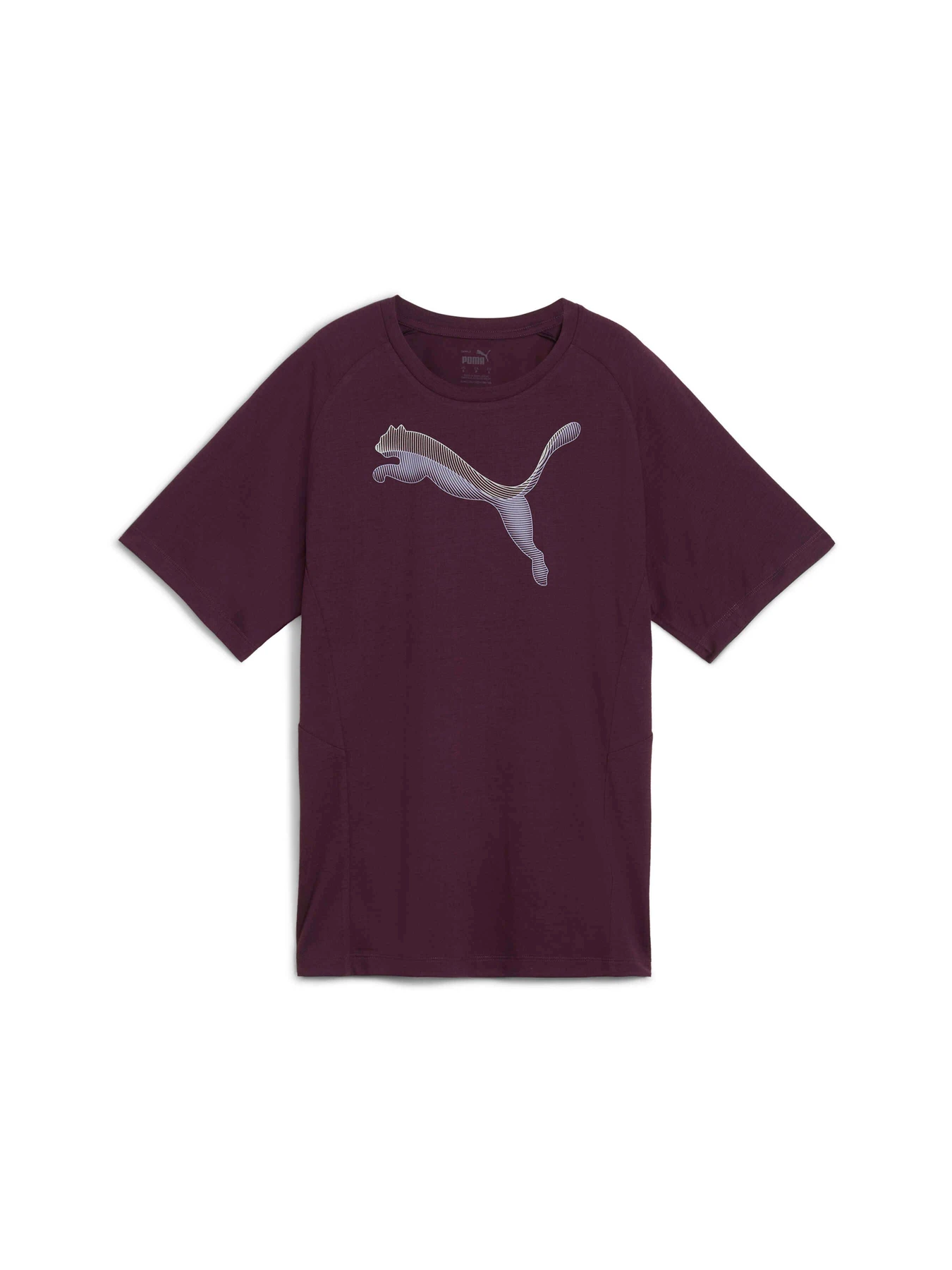 Футболки и поло PUMA Evostripe Tee модель 681668 Фото