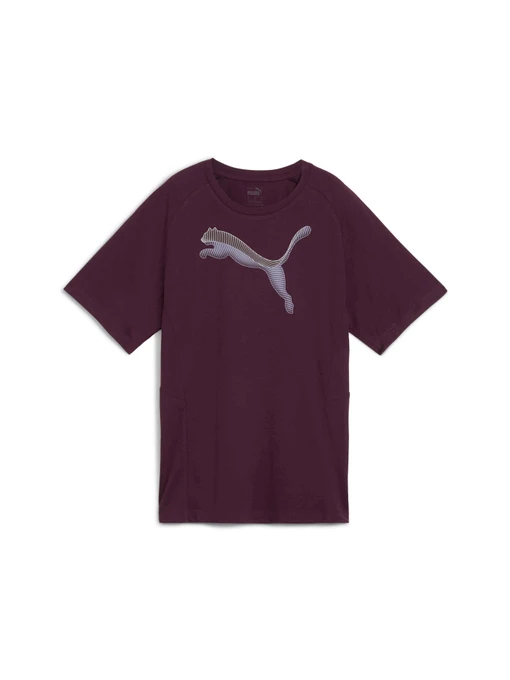 Футболки и поло PUMA Evostripe Tee модель 681668 Фото