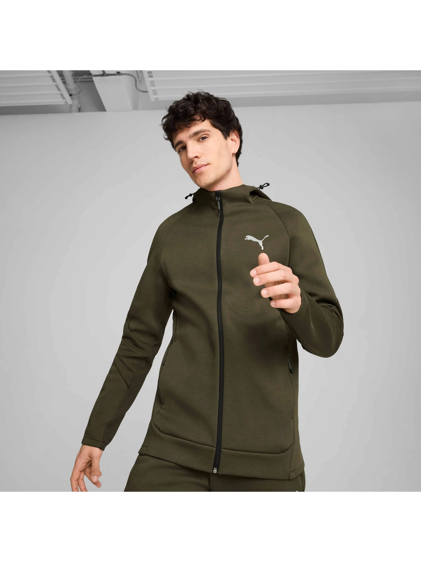 Худи и свитшоты PUMA Evostripe Full-zip Hoodie модель 681700 Фото