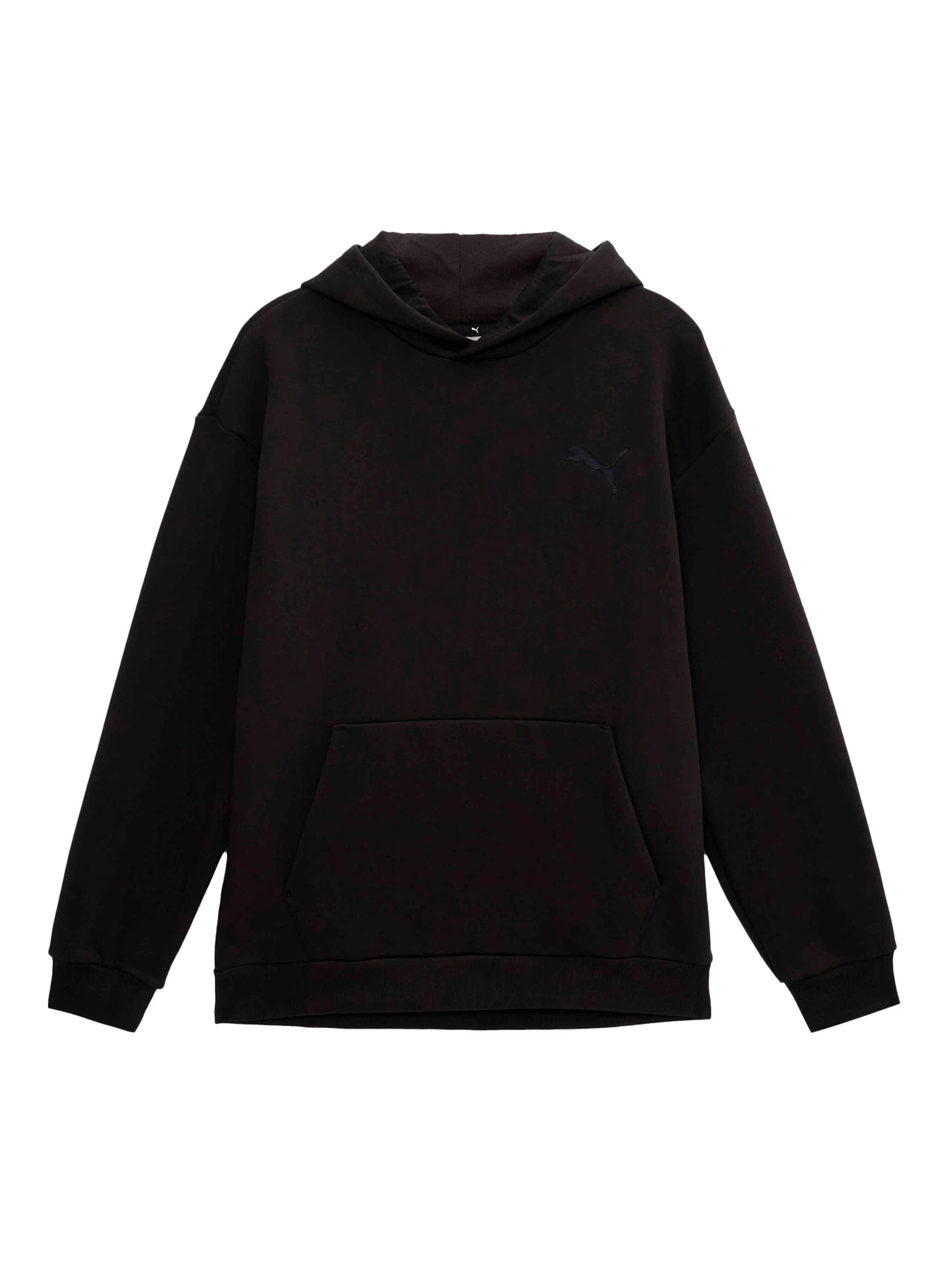 Худі та світшоти PUMA Elevated Hoodie Fl модель 674079 Фото