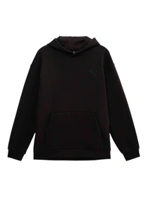 Худі та світшоти PUMA Elevated Hoodie Fl модель 674079 Фото