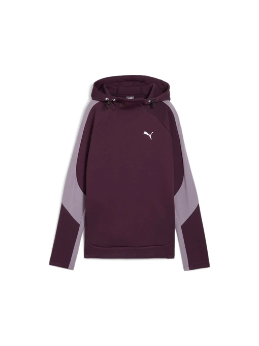 Худі та світшоти PUMA Evostripe Hoodie модель 681669 Фото