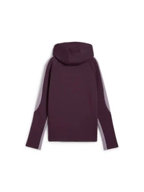 Худи и свитшоты PUMA Evostripe Hoodie модель 681669 Фото