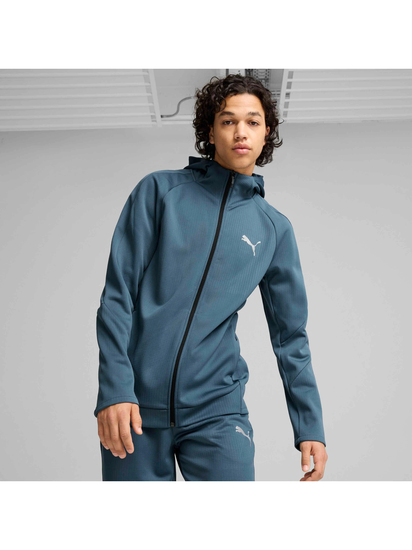 Худи и свитшоты PUMA Evostripe Full-zip Hoodie модель 681703 Фото