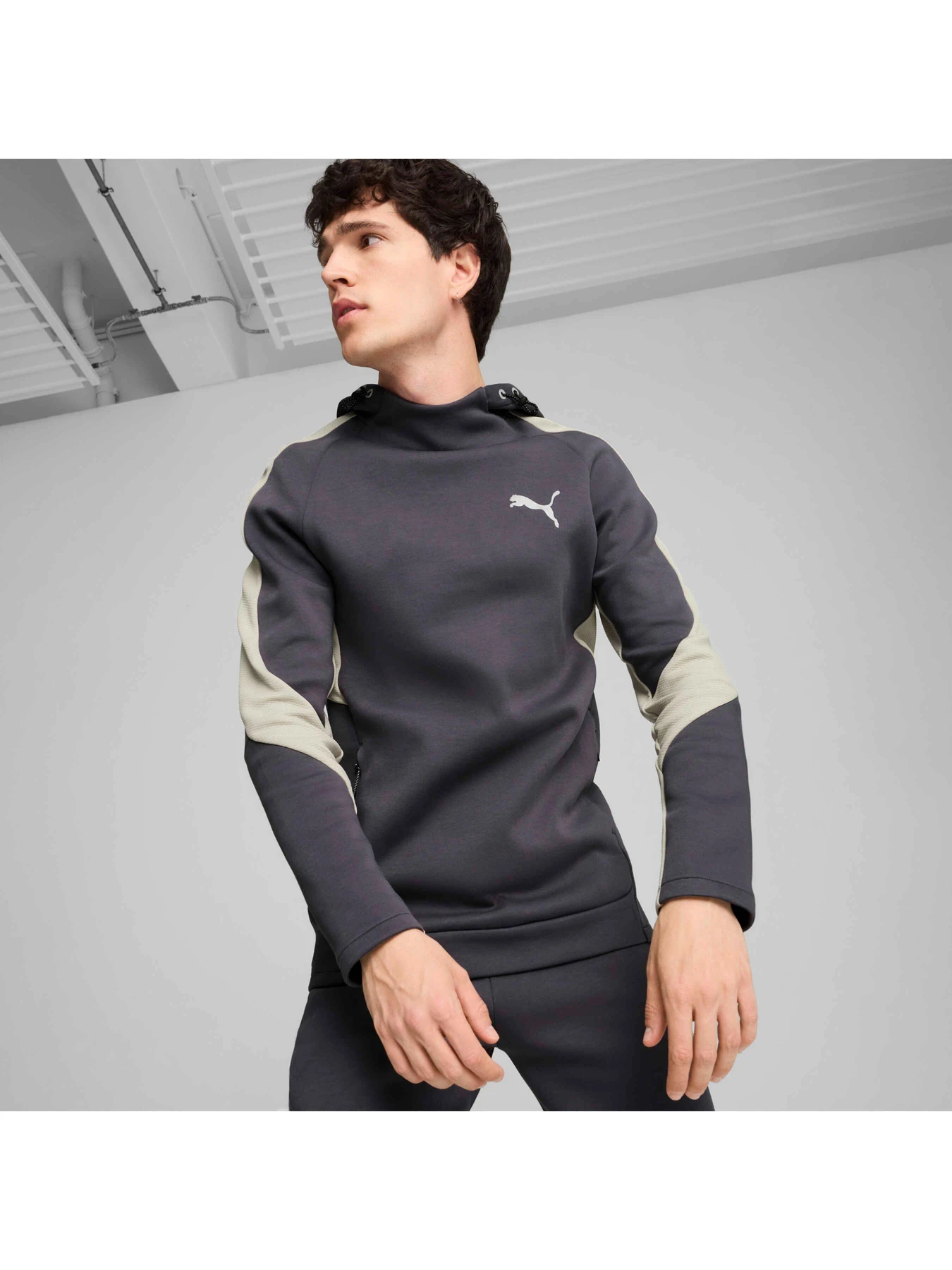 Худі та світшоти PUMA Evostripe Hoodie модель 681699 Худі та світшоти PUMA Evostripe Hoodie модель 681699 Фото