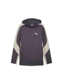 Худі та світшоти PUMA Evostripe Hoodie модель 681699 Фото