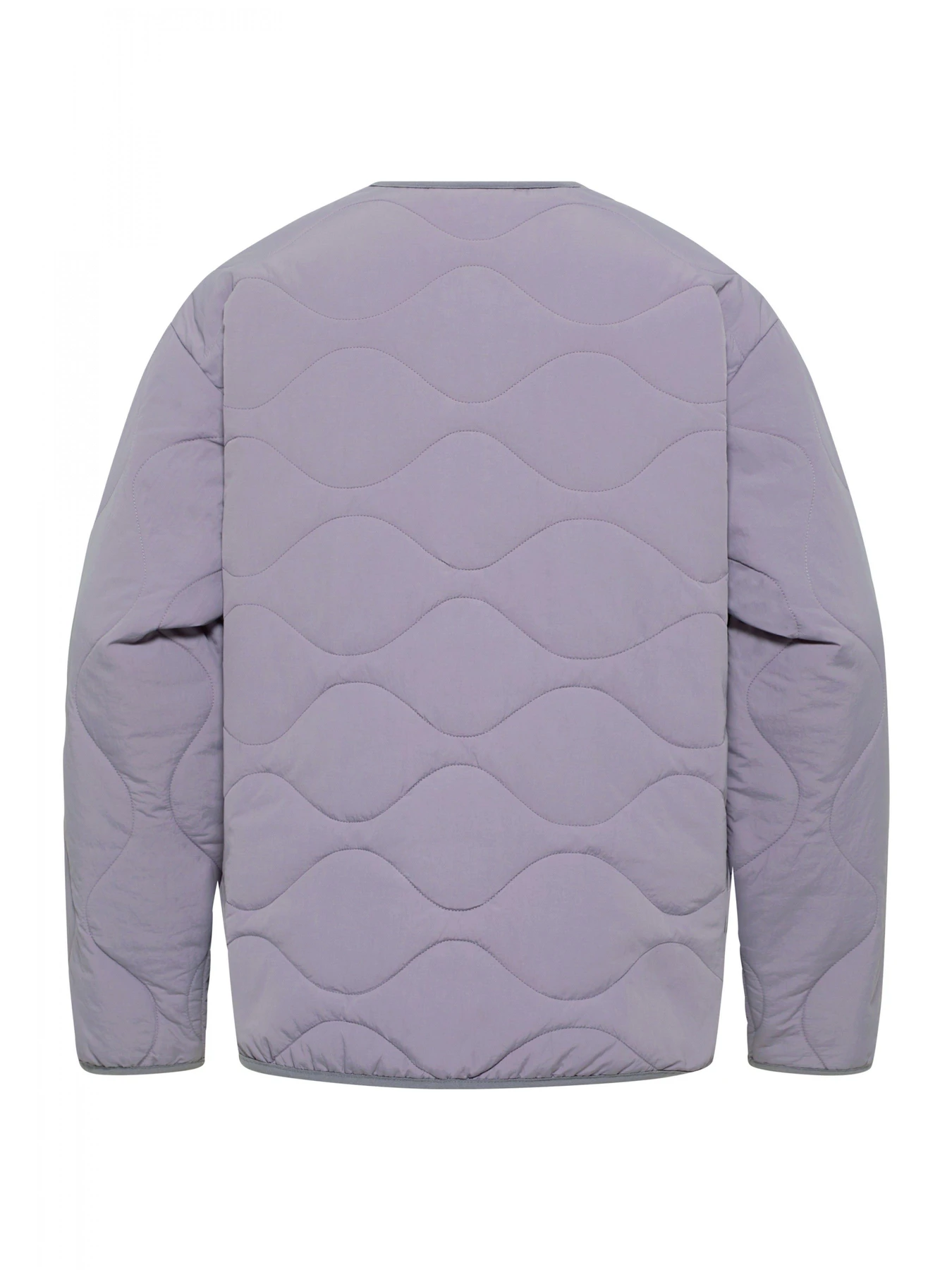Куртки и дубленки Jack Wolfskin Wandersome модель A60173_I0084 Фото