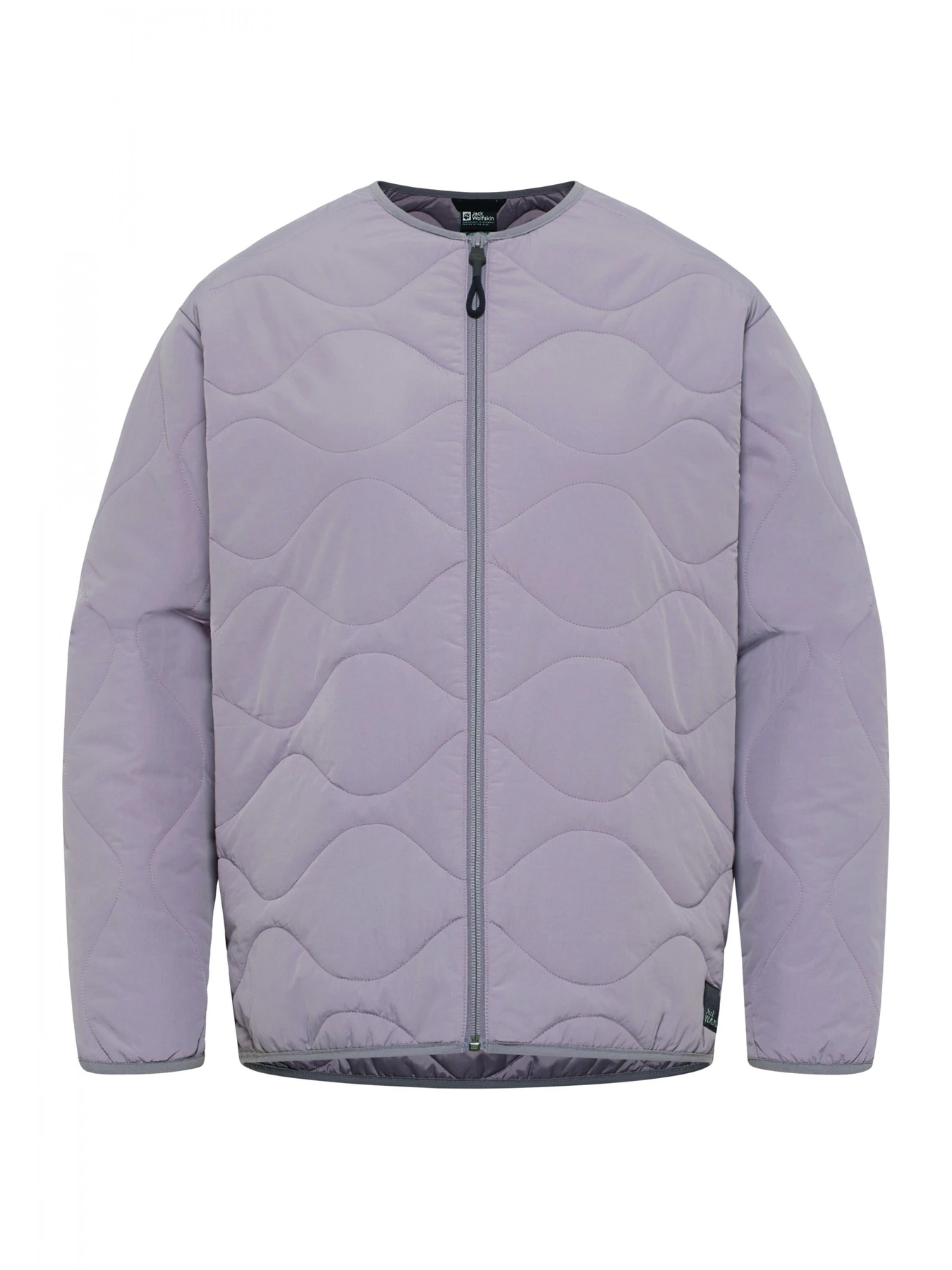 Куртки и дубленки Jack Wolfskin Wandersome модель A60173_I0084 Фото