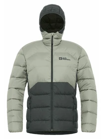 Куртки и дубленки Jack Wolfskin Ather модель A60330_4136 Фото