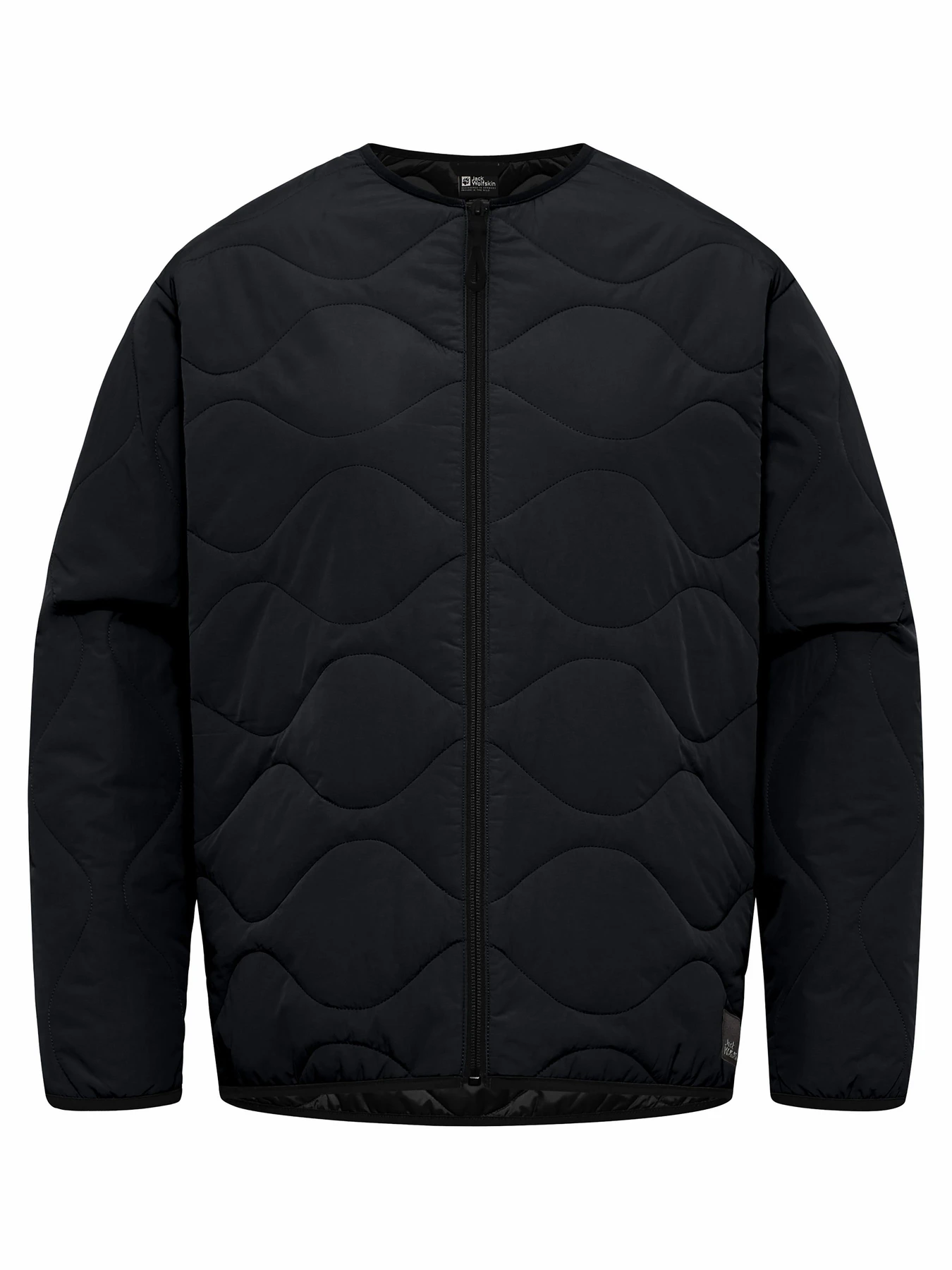 Куртки и дубленки Jack Wolfskin Wandersome модель A60173_6502 Фото