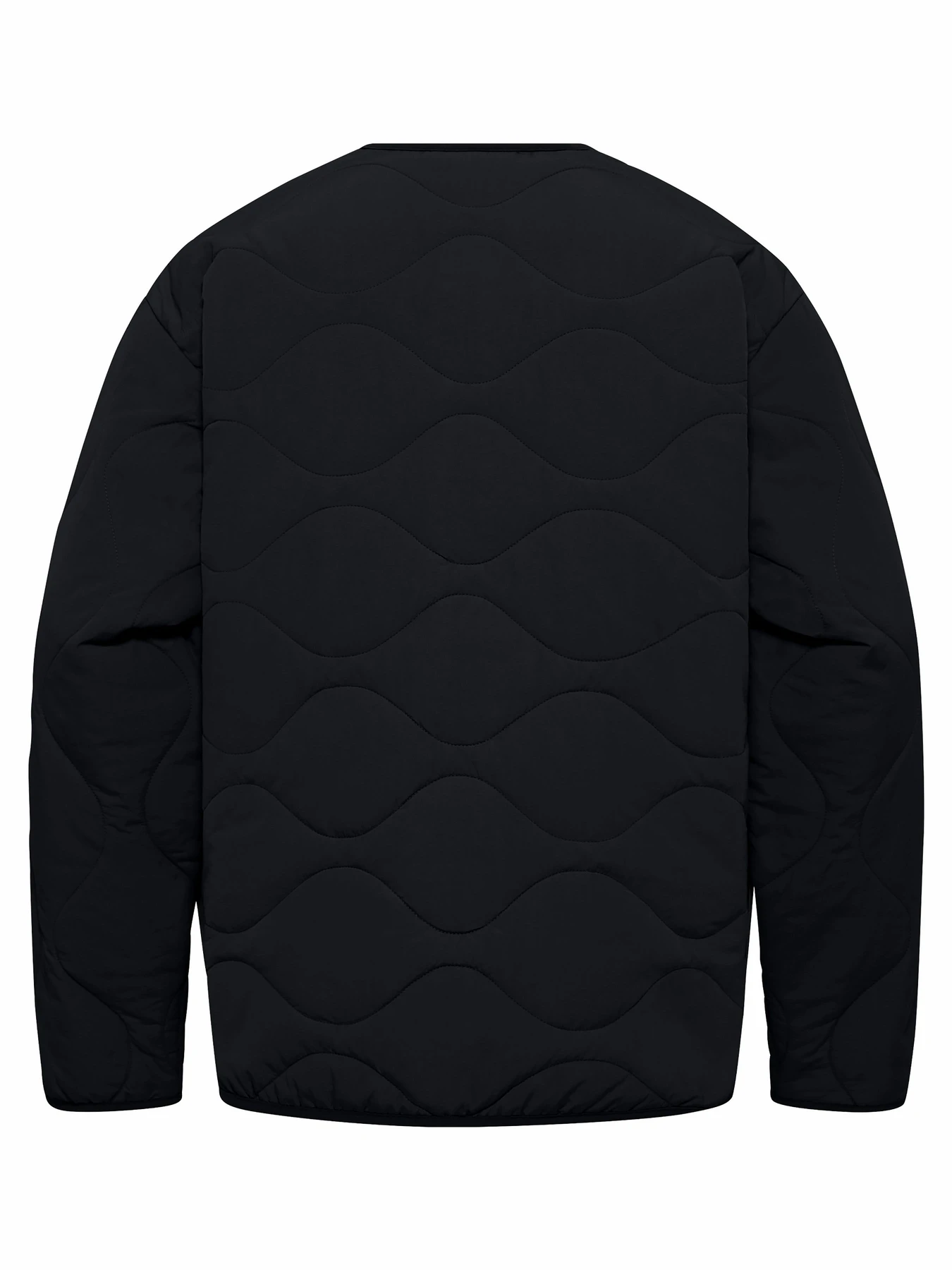 Куртки и дубленки Jack Wolfskin Wandersome модель A60173_6502 Фото
