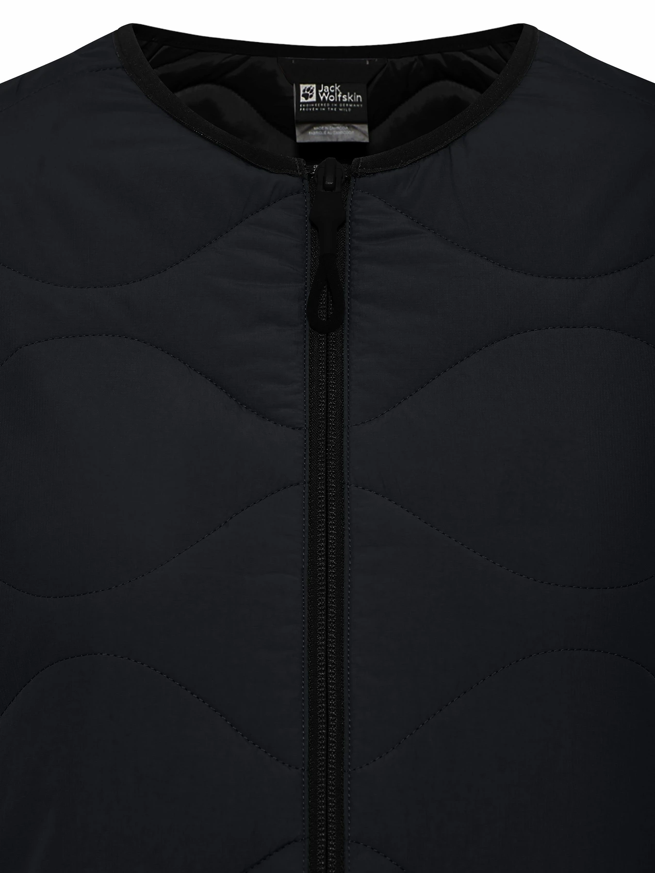 Куртки и дубленки Jack Wolfskin Wandersome модель A60173_6502 Фото