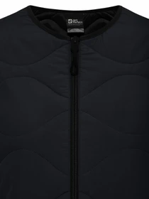 Куртки и дубленки Jack Wolfskin Wandersome модель A60173_6502 Фото
