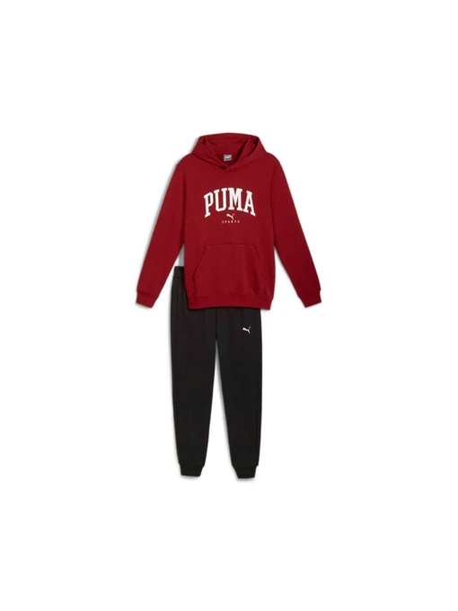 Костюмы PUMA Squad Hooded Suit модель 681901 Фото