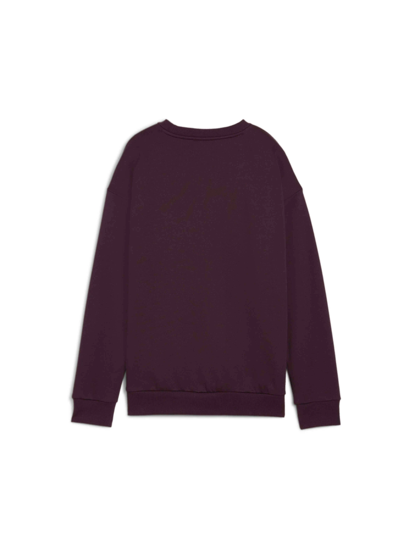 Худи и свитшоты PUMA Ess+ Relaxed Small Logo Crew модель 681487 Худи и свитшоты PUMA Ess+ Relaxed Small Logo Crew модель 681487 Фото