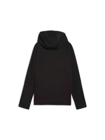 Худи и свитшоты PUMA Evostripe Full-zip Hoodie модель 681673 Фото
