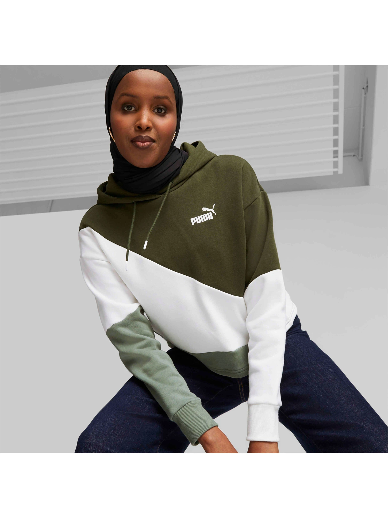 Худи и свитшоты PUMA Power Cat Hoodie Fl модель 623259 Фото