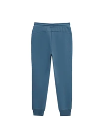 Штани PUMA Elevated Sweat Pant Fl модель 674080 Фото