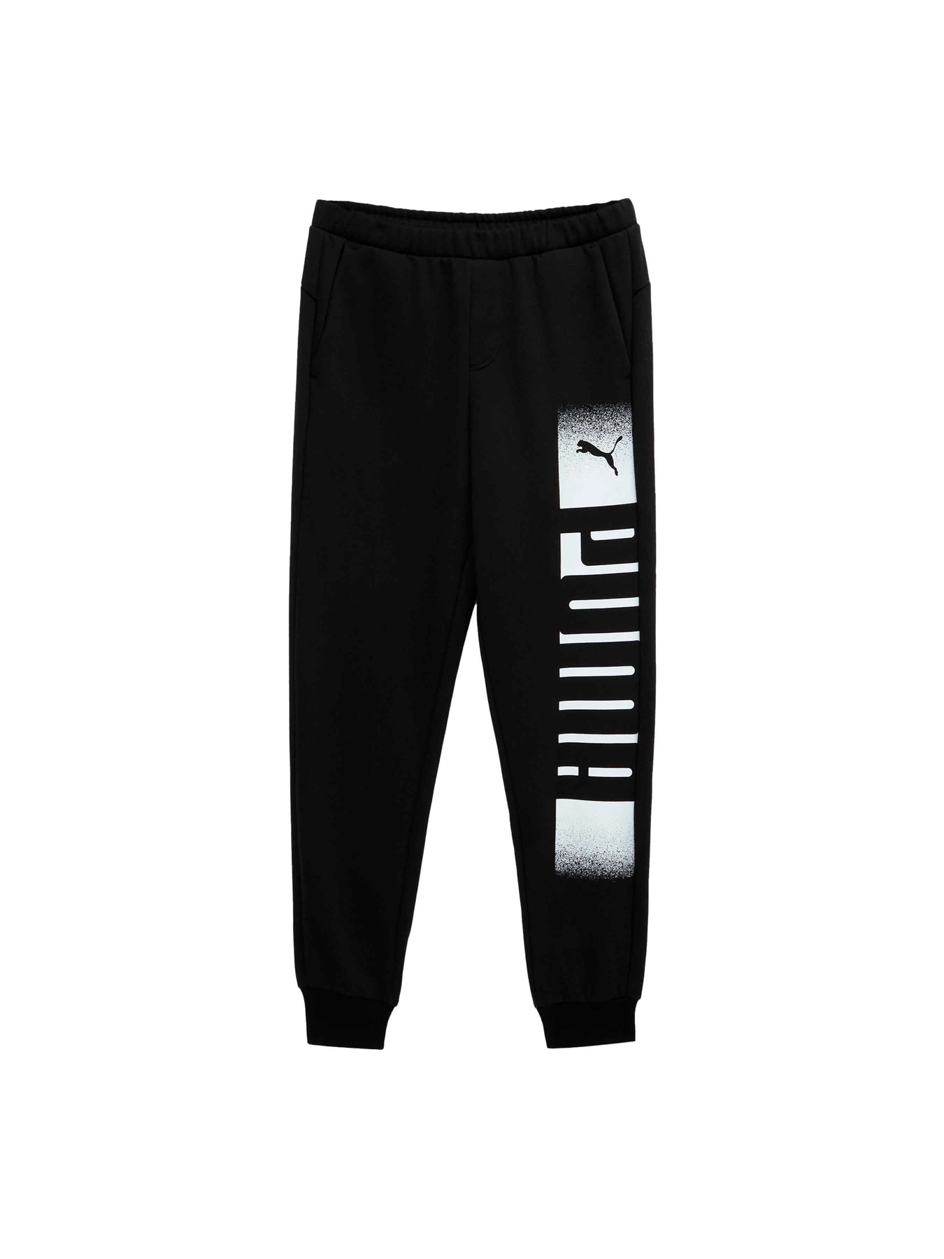 Брюки PUMA Sweatpants Fl модель 589616 Фото